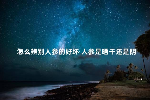 怎么辨别人参的好坏 人参是晒干还是阴干好